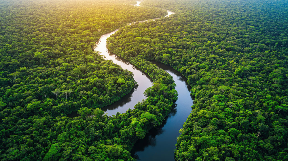 A breathtaking aerial perspective of the Amazon Rainforest, Brazil, showcasing its lush canopy and winding rivers